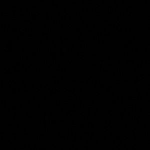 Meet your Posher, Evelyn